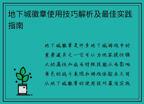 地下城徽章使用技巧解析及最佳实践指南